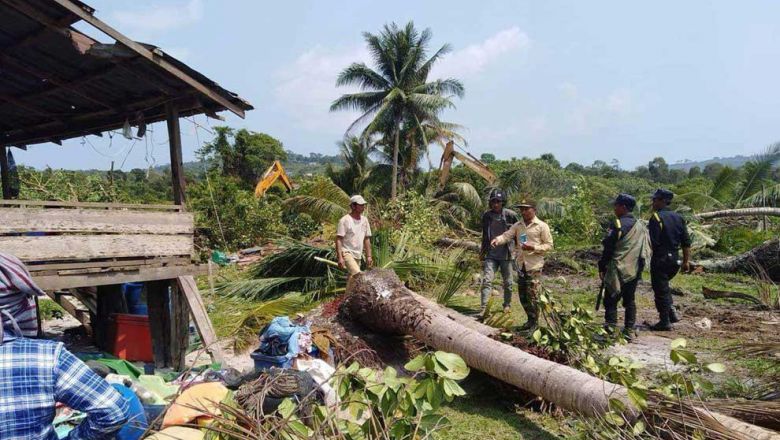 Representatives from Union Development Group inspect land in Koh Kong province’s Kiri Sakor district. Some 30 families plan to file a petition to the provincial governor to intervene in the land dispute with the company accused of bulldozing their land. Adhoc Representatives from Union Development Group inspect land in Koh Kong province’s Kiri Sakor district. The development firm is accused of using bulldozers to destroy crops and trees belonging to seven families it is locked in land disputes with. Adhoc