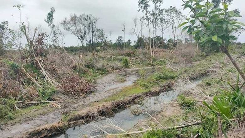 Land clearance in Koh Kong’s Sre Ambel district on Saturday. SUPPLIED Content image - Phnom Penh Post