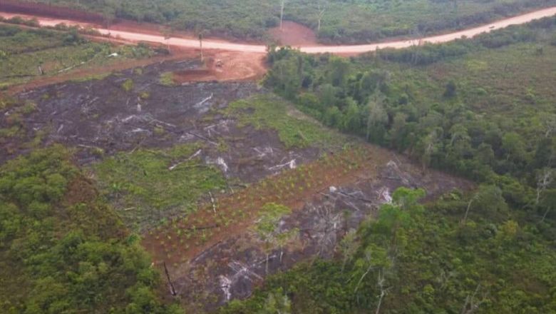 The Pursat Provincial Administration said on February 16 that the 20 families had occupied the land and relied on it for their livelihoods in O’Som commune’s Chhay Lok village of Veal Veng district. PURSAT PROVINCIAL ADMINISTION Content image - Phnom Penh Post