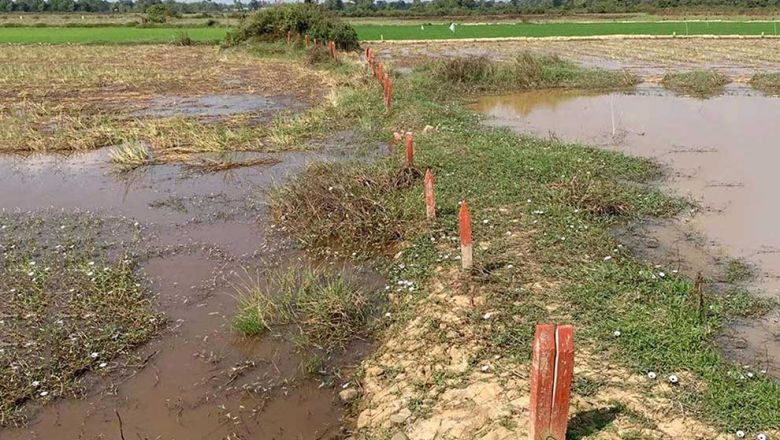 Wetlands area seized from a private company in Bati district of Takeo province on January 25. FACEBOOK Content image - Phnom Penh Post