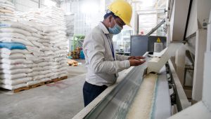 Agriculture Ministry quashes ‘plastic rice’ rumours