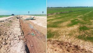 Banteay Meanchey farmers call for more water