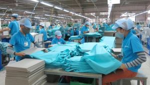 Vietnam supports firms in economic recovery initiative