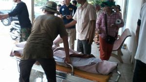 One Australian, one Cambodian killed in explosion at military base